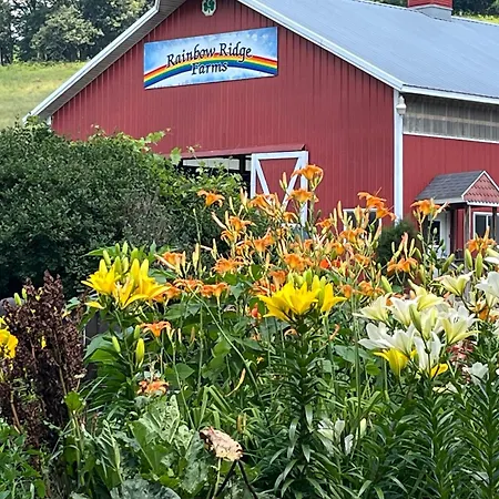 Rainbow Ridge Farms-2